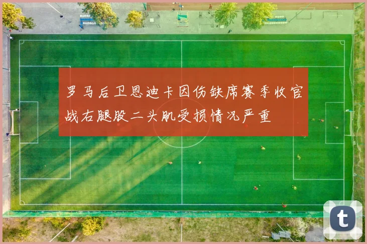 罗马后卫恩迪卡因伤缺席赛季收官战右腿股二头肌受损情况严重