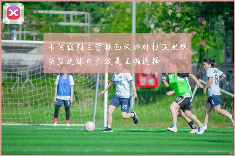 韦伯裁判主管称西汉姆对拉亚犯规明显进球判无效是正确选择